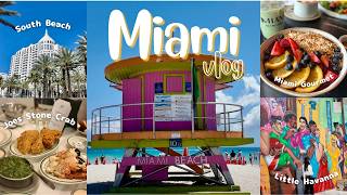 【Miami Vlog】3泊4日のマイアミ旅行｜グルメ、サウスビーチ、リトルハバナ、デザインディストリクト