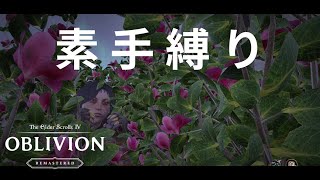 【Oblivion Remastered】目標金額の2倍以上を稼いだギルドの有望新人なので、たくさん出世できました04【VOICEVOX】