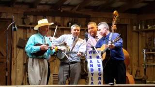 David Davis and the Warrior River Boys "Mountain Dew"