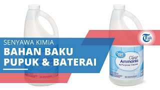 Amonia, Senyawa Kimia Bahan Baku Baterai dan Pupuk