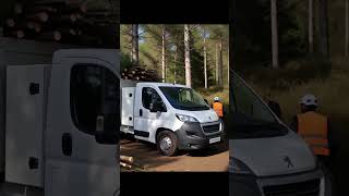 Peugeot Boxer 2.2 BLUE HDI ( CX CARGA BASCULANTE TRASEIRA)
