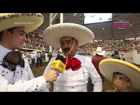 Los Tres Potrillos están en la casa