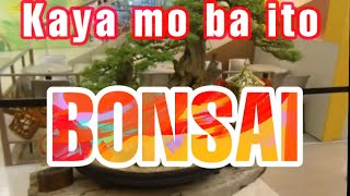 preview picture of video 'Bonsai at SM Rosales'