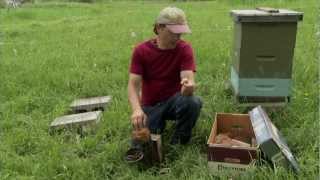 Natural Beekeeping with Ross Conrad DVD Trailer
