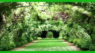 The End Of The World   Susan Boyle