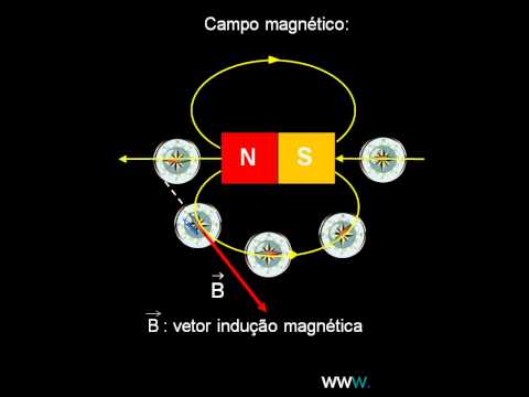 Campo magnético   Noções