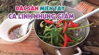 Đặc Sản Miền Tây - Cá Linh Nhúng Giấm Trên Bờ Đê | Xuân Dương Vlogs