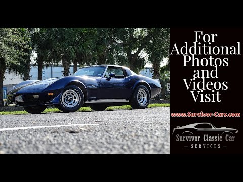 1979 Chevrolet Corvette (CC-1616275) for sale in Palmetto, Florida