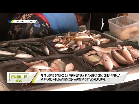 Regional TV News: P8 milyong danyos sa agrikultura sa Talisay City, Cebu, naitala