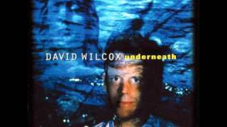 David Wilcox - Underneath - Guilty Either Way