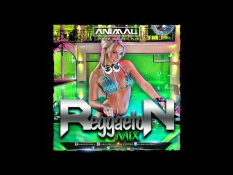 Reggaeton Mix 13- Animal Dj (www.animaldj.co)