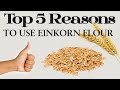Top 5 Reasons To Use Einkorn Flour Ancient Grain With Modern Benefits