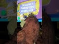 George Reviews Barney S Super Singing Circus Part 6