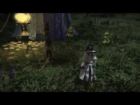FFXIV: ARR - Story Quest 237 A Sylphlands Sting