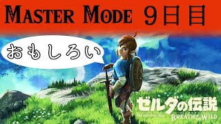 リンクも絶賛ブレワイ配信