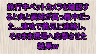 【スカッと】旅行中ペットカメラを確認すると夫と義姉が真っ最中だった…速攻で義兄に連絡し、そのまま現場へ突撃させた結果w（朗読）
