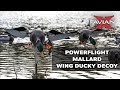 Avian X  PowerFlight Mallard Spinning Wing Duck Decoy