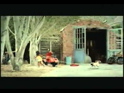 Everyday I Want To Fly ♫♫