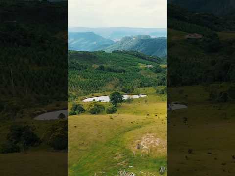 Fazenda em Vidal Ramos Santa Catarina