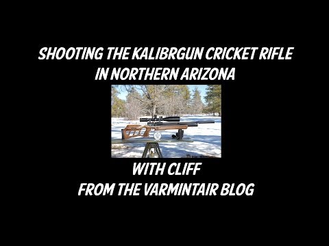 Kalibrgun Cricket Rifle Shooting with VarmintAir