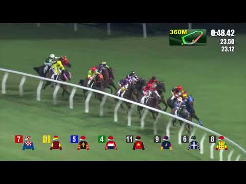 5/10/2022 (69) Happy Gathering - Matthew Poon