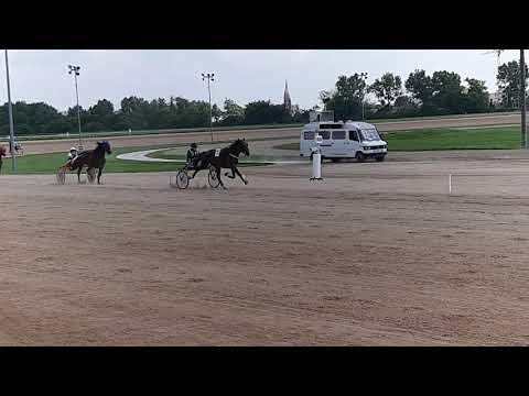 Ügető verseny részlet - Detail vom Trabrennen. Kincsem Park, Budapest
