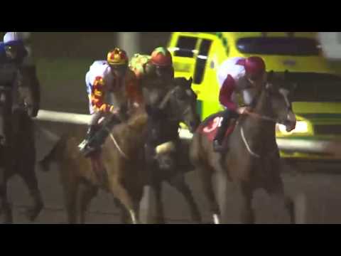 2014.11.09 Hurricanelöpning 2014 (SWE) - Duke Derby