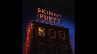 Skinny Puppy — Death