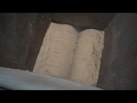 download lagu mp3 mp4 Wheat Midds, download lagu Wheat Midds gratis, unduh video klip Wheat Midds