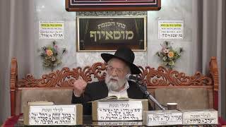 הרב אהרון ירחי | הלכות | מוסאיוף (בית הכנסת מוסאיוף) - התמונה מוצגת ישירות מתוך אתר האינטרנט יוטיוב. זכויות היוצרים בתמונה שייכות ליוצרה. קישור קרדיט למקור התוכן נמצא בתוך דף הסרטון