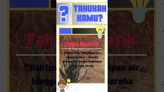 Download lagu Fakta kaktus #kaktus #flora #faktaunik #faktamenarik #edukasi #education #tahukahkamu #ingintau mp3 Download lagu Fakta kaktus #kaktus #flora #faktaunik #faktamenarik #edukasi #education #tahukahkamu #ingintau mp3