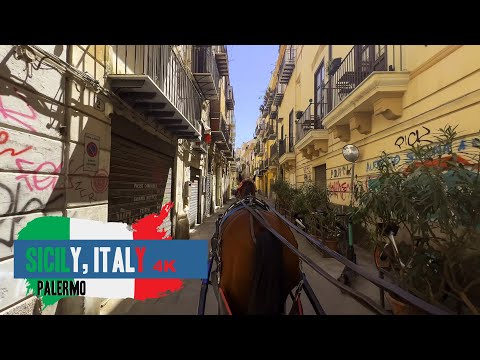 Carriage Ride inside Palermo, Sicily       -     Tour en taxi hippomobile in Palermo, Sicily