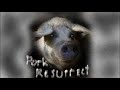 PIG BRAZER Pork Resurrect Full Album Stream Goregrind Grindcore
