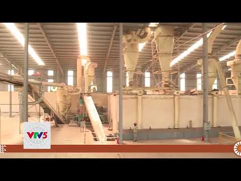 VIỆT NAM XUẤT KHẨU VIÊN NÉN GỖ ĐỨNG THỨ 2 THẾ GIỚI | VTV5