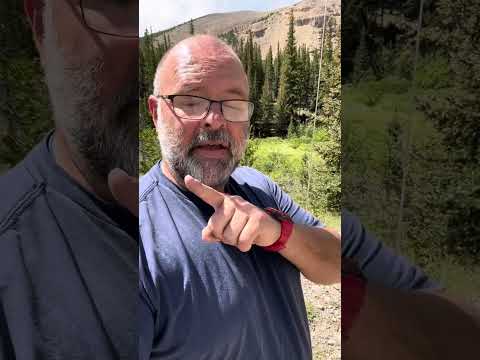 Tuning the Chameleon 17’ Whip