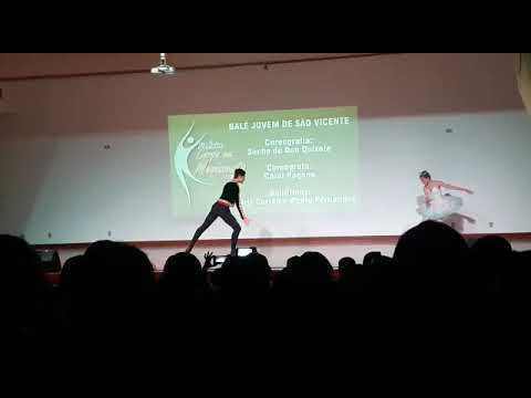 Ballet beija flor(4)