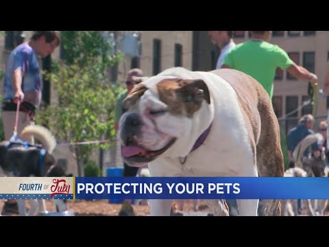 Mid-Moring Headlines: July 4, 2017