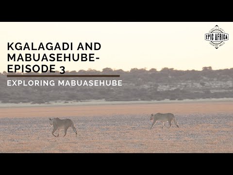Mabuasehube and Kgalagadi: Episode 3 - Exploring Mabuasehube