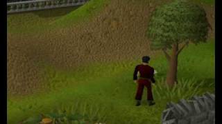 heideroosjes-weltrusten meneer de precident