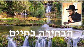 הגאון הינוקא - איך לבחור בחיים |  The Yanuka - English CC