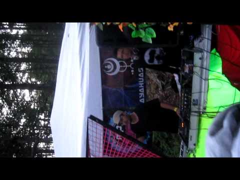 Sychotria live in ITALY!