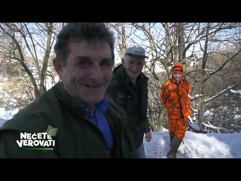 NEĆETE VEROVATI - Pitome a divlje svinje kućni ljubimci