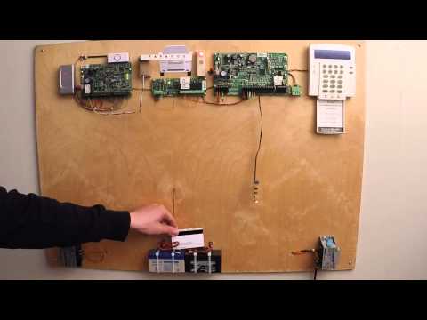 Paradox Digiplex Evo48 / Evo192 тренировочный стенд