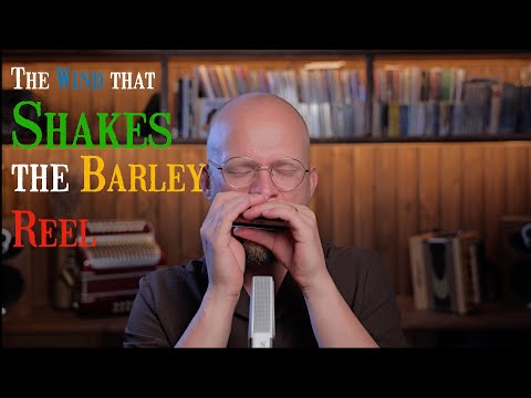 Harmonica Tabs + Lesson: The Wind that Shakes the Barley