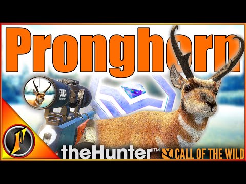 The NEW DIAMOND Pronghorn are AMAZING! | Askiy Ridge theHunter Call of the Wild