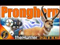 The NEW DIAMOND Pronghorn Are AMAZING Askiy Ridge TheHunter Call Of The Wild
