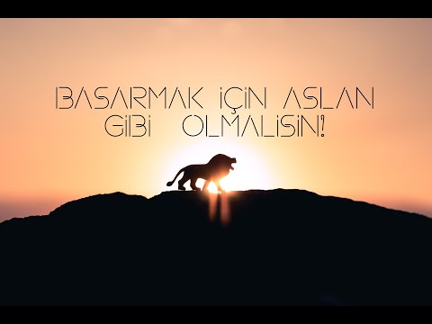 BAŞARININ ANAHTARI ASLAN GİBİ OLMAKTA YATIYOR  | MOTİVASYON VİDEOSU