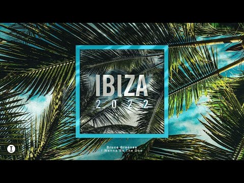 Bruce Grooves - I Wanna Be The One (Extended Mix)