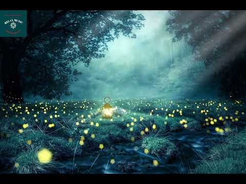 Flowers Lauren Music | Nature Sounds | NDF Music Official.