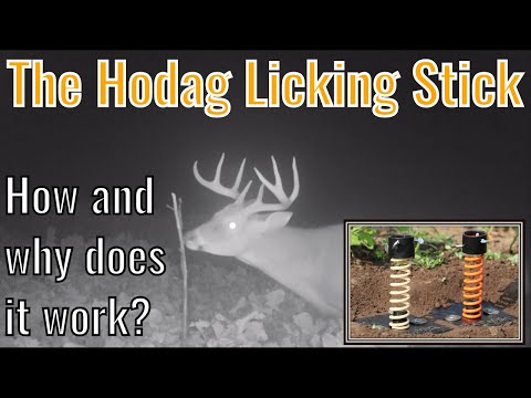 What is the Hodag Licking Stick?